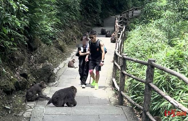 比夜店还野？峨眉山陪爬实录：捏腿扇风+贴身护送！小姐姐：爬不动了要抱抱（组图） - 3