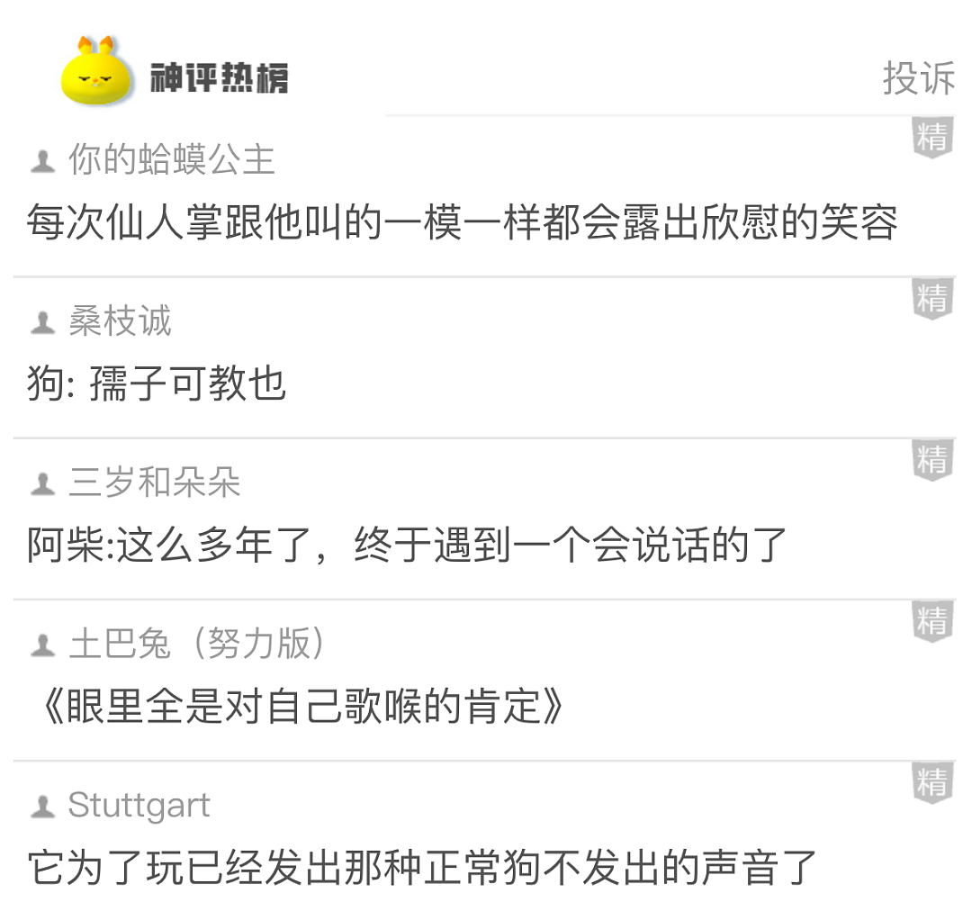 【爆笑】老公肩膀上有个牙印，不是我咬的！网友劝离婚：她牙挺齐的，姿势也到位...（组图） - 26