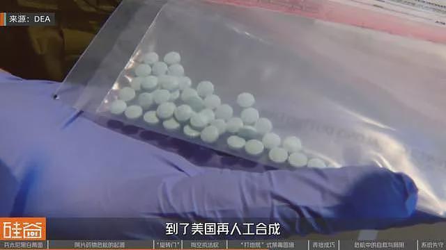 失控的芬太尼:药物滥用背后的权力、金钱与死亡(组图) - 29