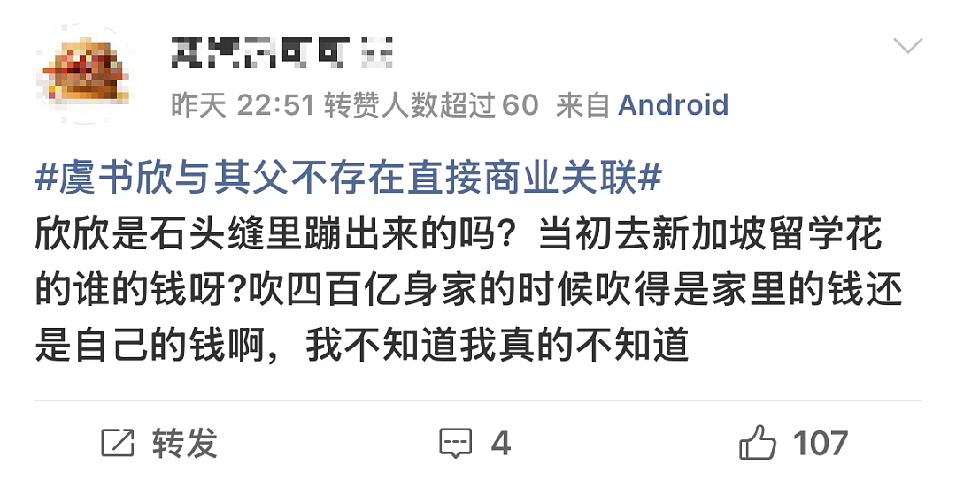 侵吞15亿国资,移民新加坡?中国女星虞书欣家族被指官商勾结,大量细节曝光(组图) - 25