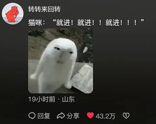 【宠物】小猫拼命想溜进妹子家，她伸手阻拦不敢松开，眼尖网友一秒发现亮点：我是猫，我也不肯走（组图） - 5