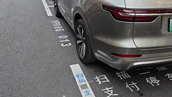 AI判断停车费精准到秒？车主吐槽“父母下车12秒收4元”，上海“智慧停车”引争议（组图） - 1