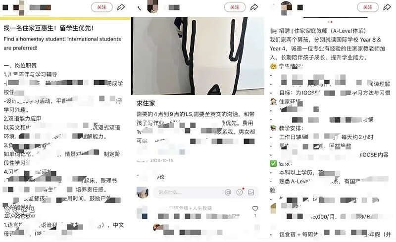 首批00后中国留学生回国当家教：一周2天班，月入5万（组图） - 4