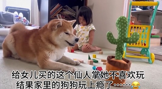 【爆笑】老公肩膀上有个牙印，不是我咬的！网友劝离婚：她牙挺齐的，姿势也到位...（组图） - 25