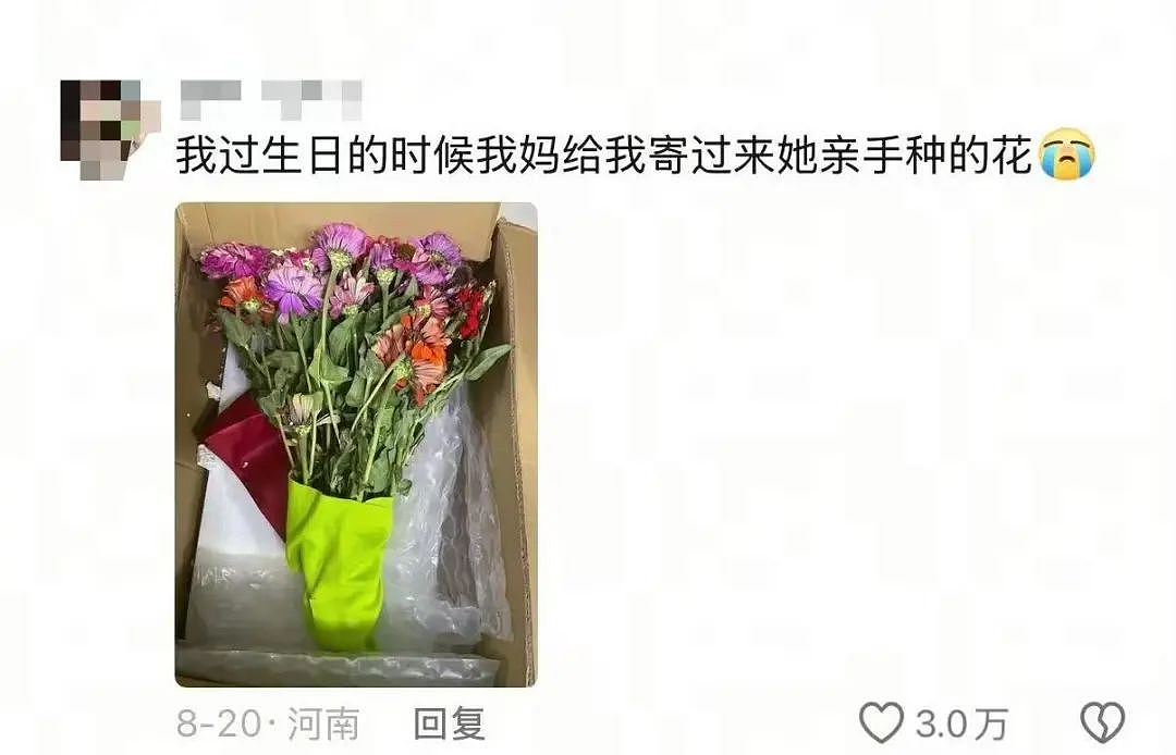 【爆笑】当我冒充网图美女和crush开视频后...？哈哈哈接通那一刻双方都崩溃了（组图） - 58