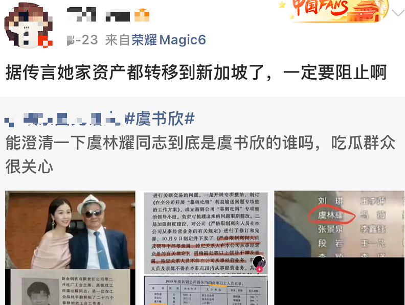 被曝侵吞15亿国资、移民新加坡?!中国明星虞书欣家族被指官商勾结,更多细节曝光(组图) - 4