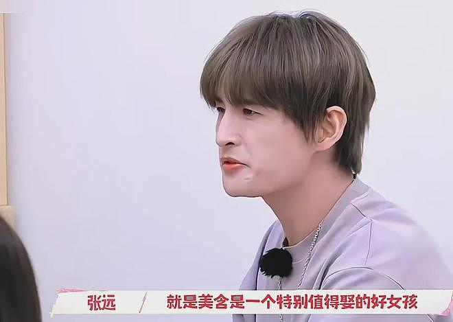 刘美含张远恋情被扒！女方点赞被断崖式分手评论，双方已互相取关（组图） - 6