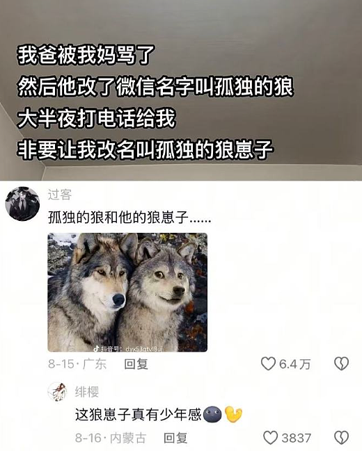 【爆笑】我想让暧昧对象送我15w的车,结果他送我15w包包?网友夺笋:你可长点心吧(组图) - 41