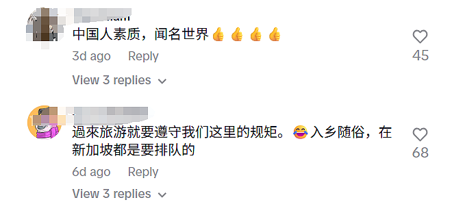 华人妈妈带娃插队，怒呛“没有中国就没有你们国家” 引发争议！（组图） - 6