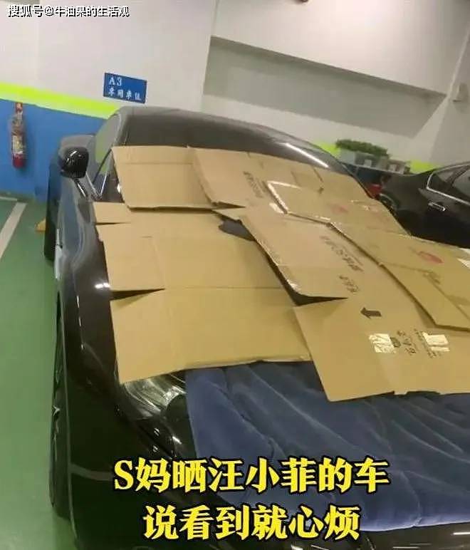 S妈起诉汪小菲，S妈就彻底不装了暴露野心（组图） - 3