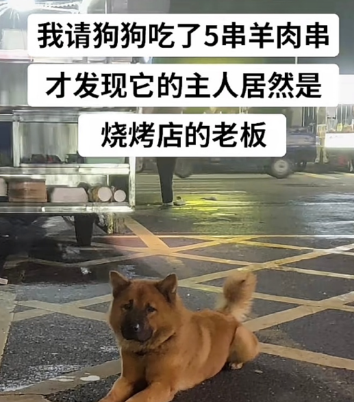 【爆笑】我想让暧昧对象送我15w的车,结果他送我15w包包?网友夺笋:你可长点心吧(组图) - 31