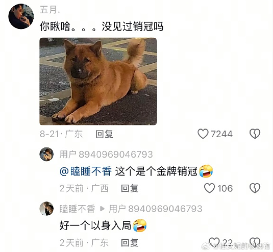 【爆笑】我想让暧昧对象送我15w的车,结果他送我15w包包?网友夺笋:你可长点心吧(组图) - 32