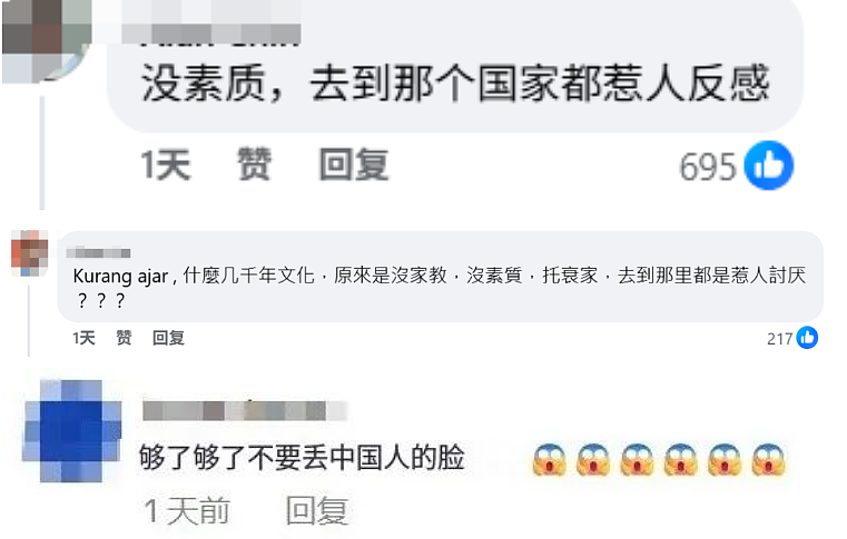 华人妈妈带娃插队，怒呛“没有中国就没有你们国家” 引发争议！（组图） - 8