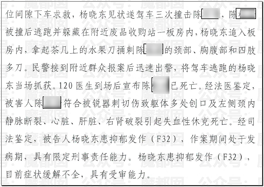 砖拍头、开车来回撞、捅136刀…东莞杀妻死缓案引发剧烈争议（组图） - 35