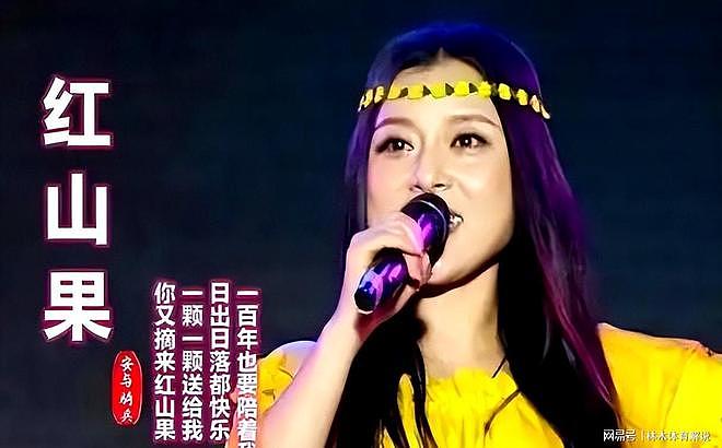 曾与凤凰传奇齐名,与玖月奇迹并排,安与骑兵为何3年就凉了?(组图) - 4