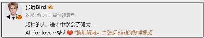 刘美含张远恋情被扒！女方点赞被断崖式分手评论，双方已互相取关（组图） - 16