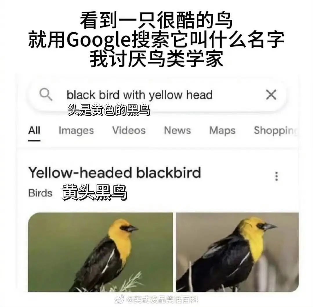 【爆笑】当我冒充网图美女和crush开视频后...？哈哈哈接通那一刻双方都崩溃了（组图） - 44