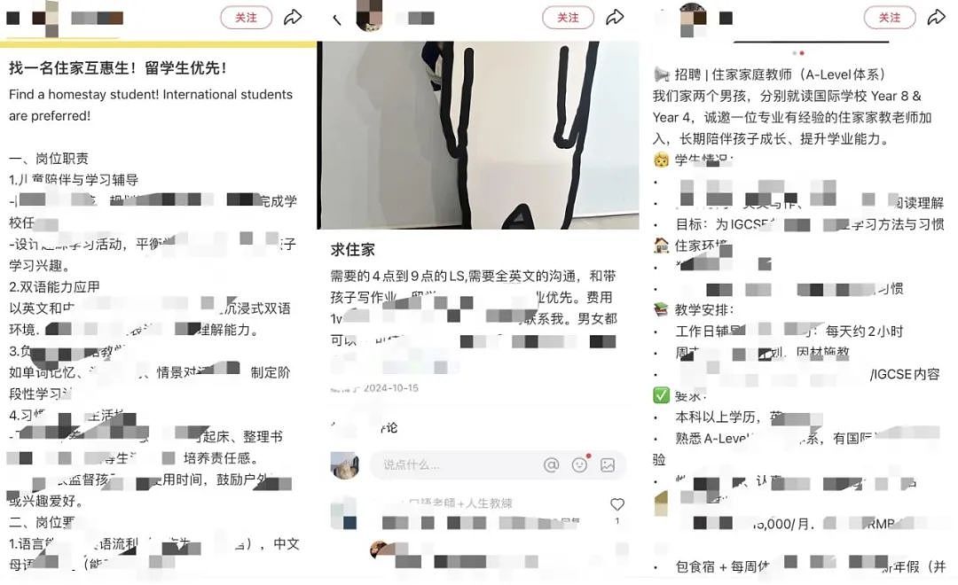 第一批00后名校海归，当家教一周工作2天，月入四五万…（组图） - 5