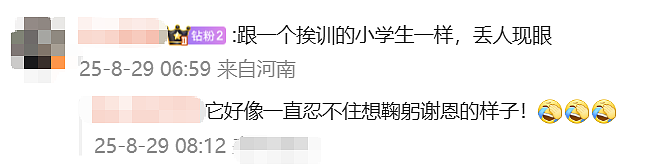 双手压裤线、立正挨训姿态…新加坡前总理李显龙获日本天皇绶章！网友怒批：勿忘历史（组图） - 7