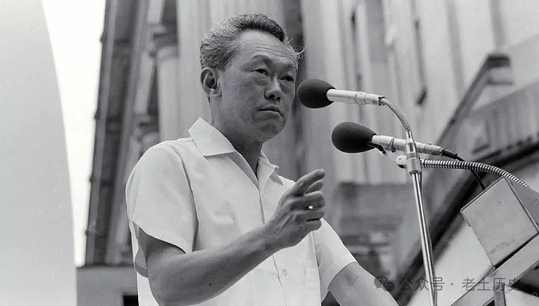 双手压裤线、立正挨训姿态…新加坡前总理李显龙获日本天皇绶章！网友怒批：勿忘历史（组图） - 14