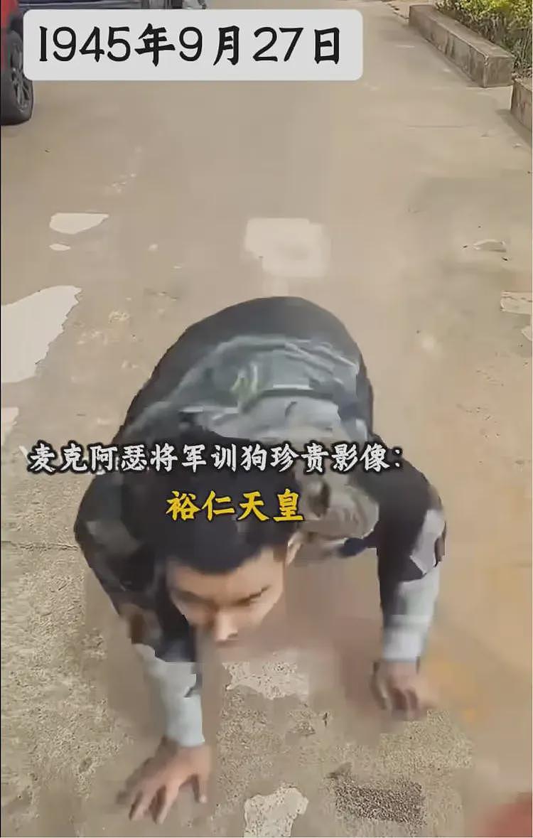 日本政府从未如此破防,中国网友用AI技术,裕仁天皇全网被当狗遛(组图) - 2