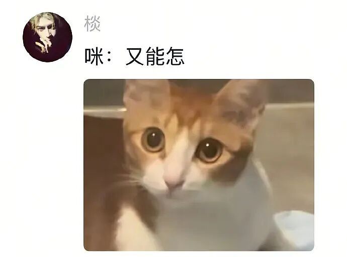 【爆笑】男朋友觉得pc是正常行为，我该分手吗？网友反应亮了（组图） - 27