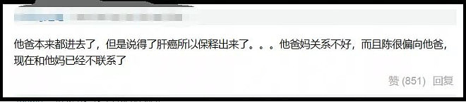 陈奕迅父亲坐牢6年，出狱后高调亮相儿子演唱会（组图） - 17