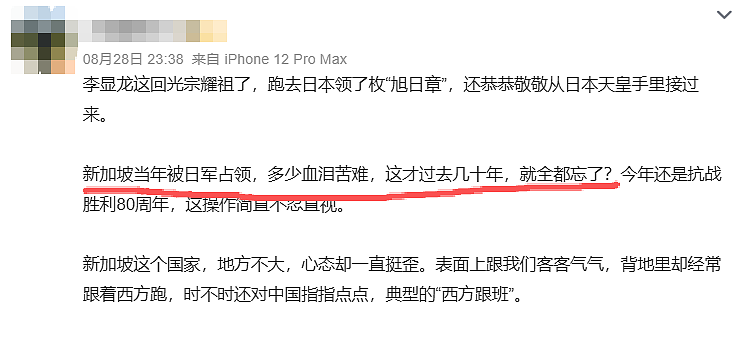 双手压裤线、立正挨训姿态…新加坡前总理李显龙获日本天皇绶章！网友怒批：勿忘历史（组图） - 9