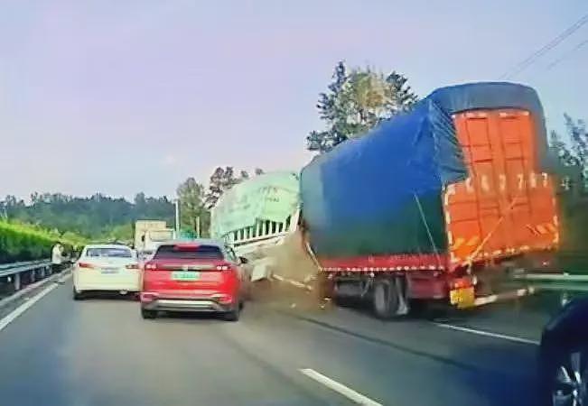9万元买的汗血宝马高速遇车祸死亡，主人称保险公司拟赔9.1万，“未达预期，这两年饲养费超10万”（组图） - 2