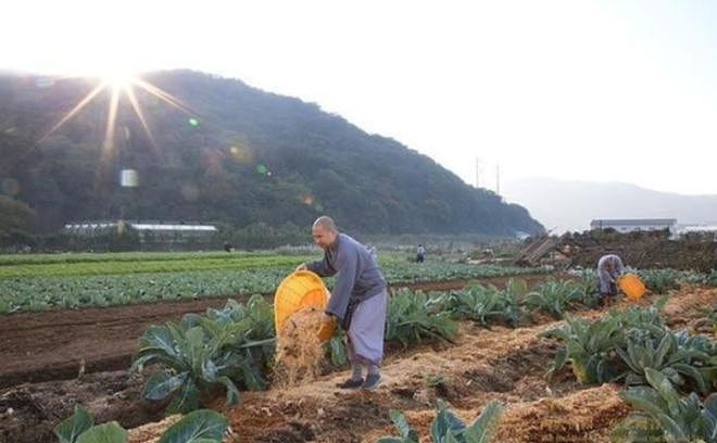 少林寺换住持32天:方丈室围挡拆除,高价香取消,数十名僧人离开(组图) - 14