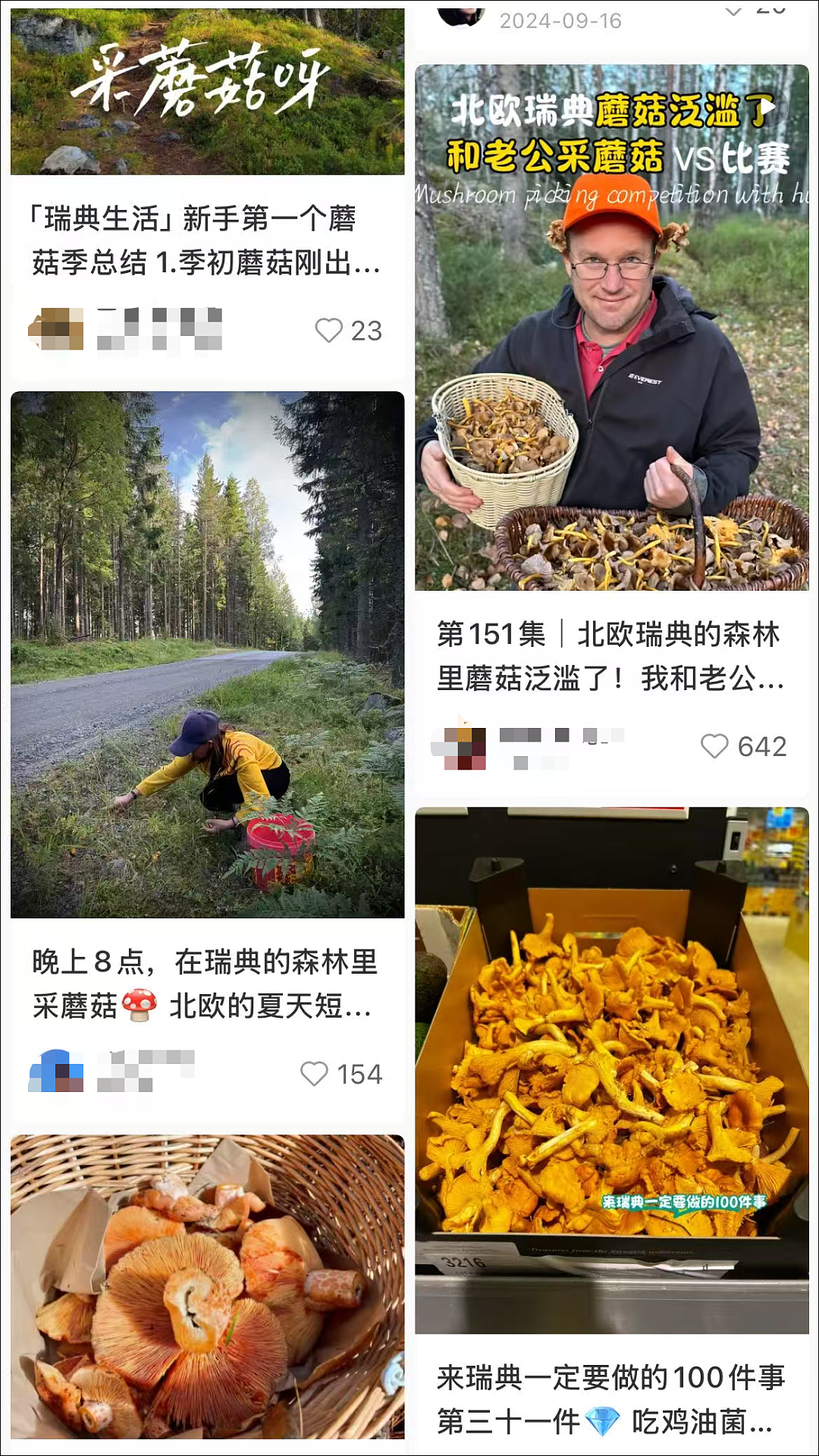 8名中国游客在瑞典采蘑菇集体中毒送医！当地表示“实属罕见”（组图） - 5