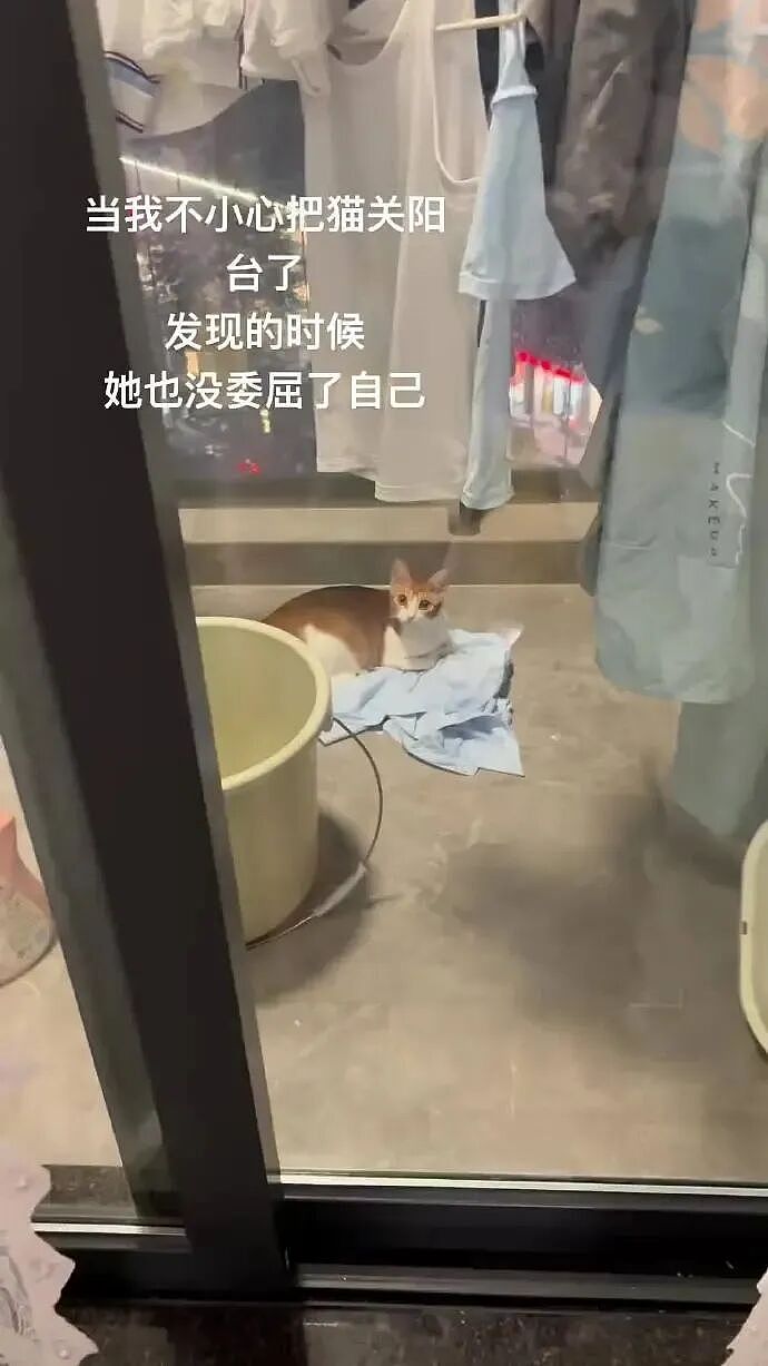 【爆笑】男朋友觉得pc是正常行为，我该分手吗？网友反应亮了（组图） - 26