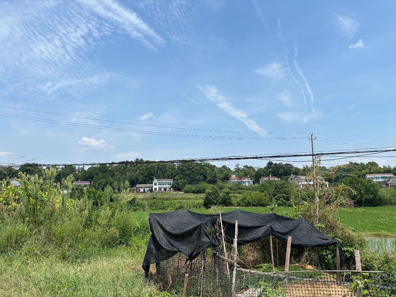 20岁女孩被砸身亡：高层住宅外墙脱落管理之困（组图） - 1