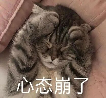 山西男生和女友吵架后跳车自杀，女方赔22万判无罪，评论区吵炸了！（组图） - 6