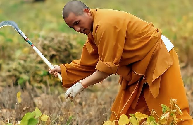 少林寺换住持32天:方丈室围挡拆除,高价香取消,数十名僧人离开(组图) - 13