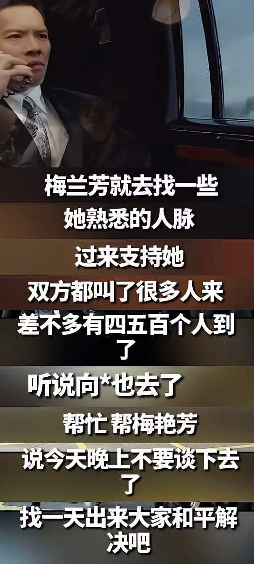 王晶曝梅艳芳被打真相，太任性惹怒江湖老大，向太2次出面帮忙（组图） - 10