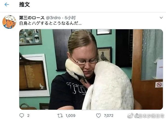 【爆笑】“现在的短剧内容能有多逆天?”哈哈哈哈哈哈把我当傻子是吧(组图) - 59