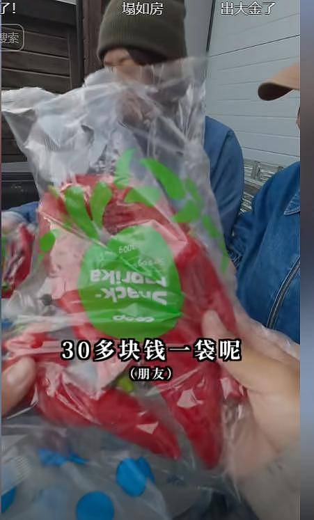 身价140亿中国网红夫妇挪威捡垃圾，叹好东西太多（组图） - 16