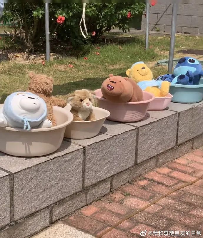 【爆笑】“45岁阿姨说要分期买我的小卡....”哈哈哈哈哈哈哈笑点过多了（组图） - 34