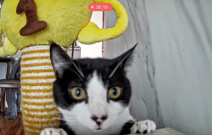 【爆笑】“45岁阿姨说要分期买我的小卡....”哈哈哈哈哈哈哈笑点过多了（组图） - 61