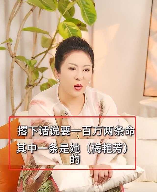王晶曝梅艳芳被打真相，太任性惹怒江湖老大，向太2次出面帮忙（组图） - 20