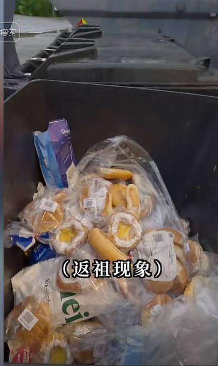 身价140亿中国网红夫妇挪威捡垃圾，叹好东西太多（组图） - 1