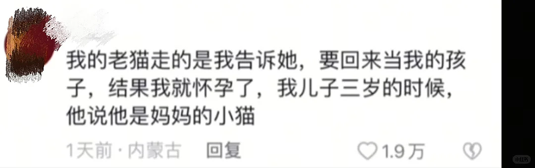 【爆笑】“45岁阿姨说要分期买我的小卡....”哈哈哈哈哈哈哈笑点过多了（组图） - 69