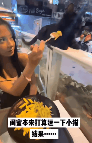 【爆笑】“45岁阿姨说要分期买我的小卡....”哈哈哈哈哈哈哈笑点过多了（组图） - 51