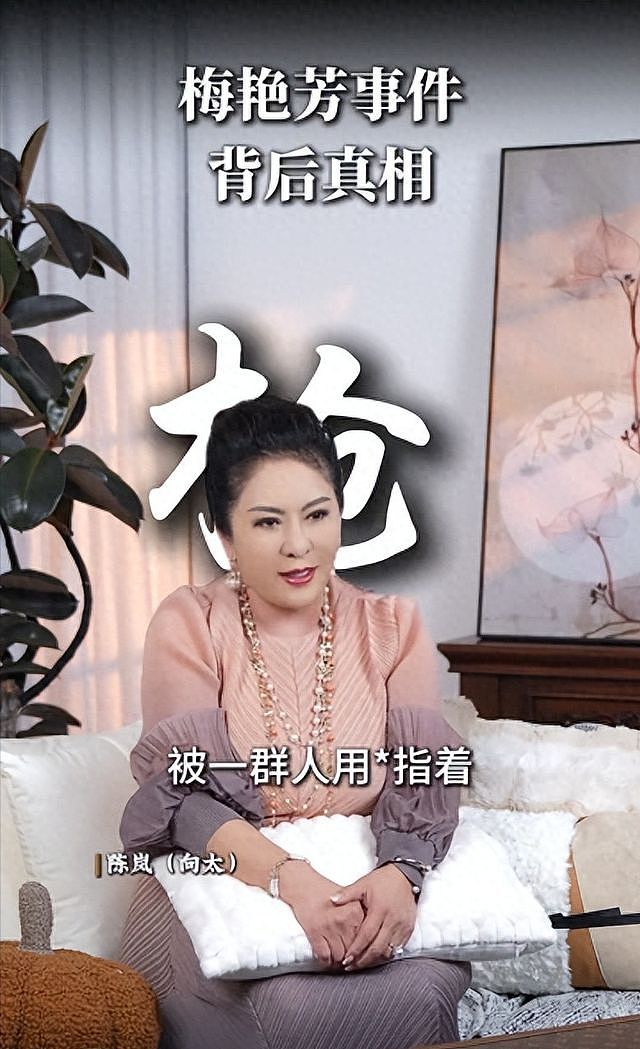 王晶曝梅艳芳被打真相，太任性惹怒江湖老大，向太2次出面帮忙（组图） - 14