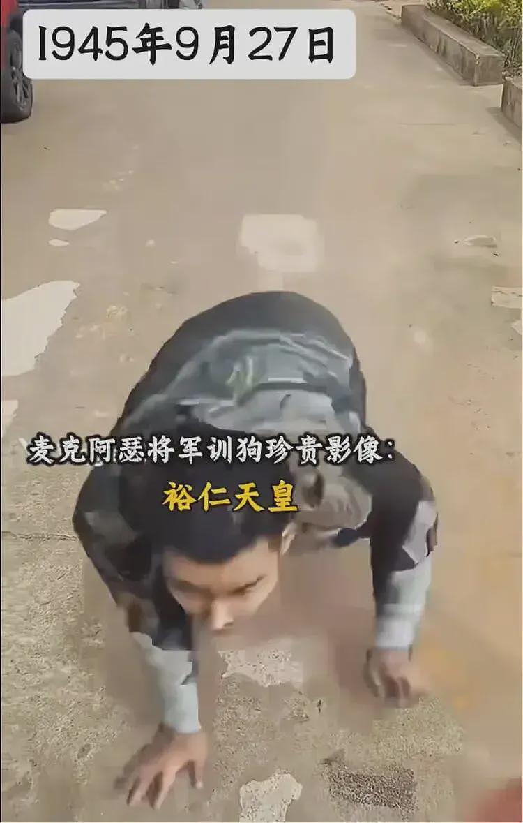 日本集体破大防!560亿日元公关费,换来裕仁天皇被全网被当狗遛(组图) - 3