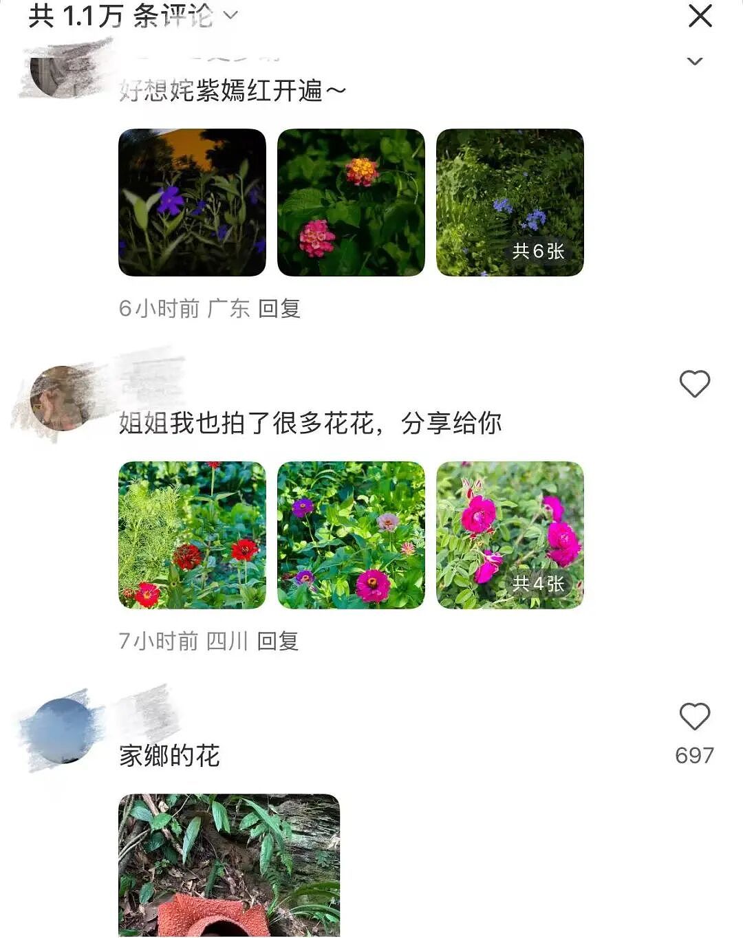 张曼玉自曝60岁生活现状，没想到这20年她过着这样的日子……（组图） - 6