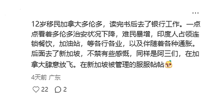 华人血泪吐槽：从“移民乌托邦”到“生存修罗场”，“夜不闭户”到“天黑不敢出门”，移民生态彻底崩了…（组图） - 4