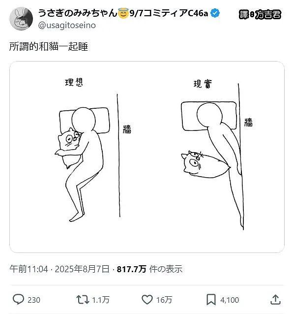 【爆笑】“现在的短剧内容能有多逆天?”哈哈哈哈哈哈把我当傻子是吧(组图) - 46