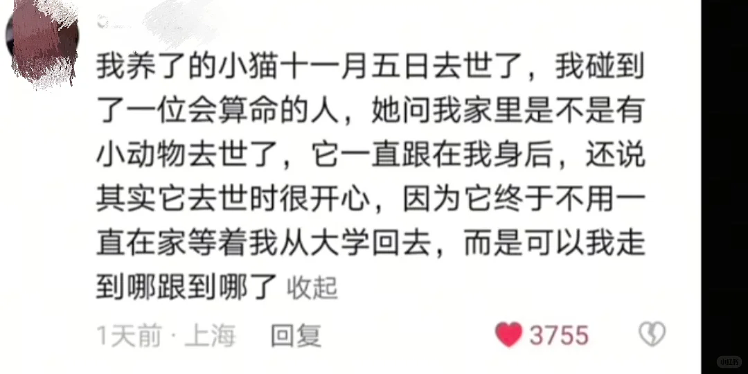 【爆笑】“45岁阿姨说要分期买我的小卡....”哈哈哈哈哈哈哈笑点过多了（组图） - 71